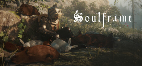 Soulframe banner art